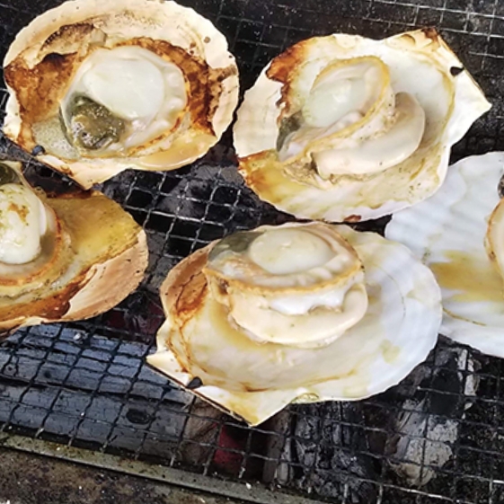 むつ湾のホタテ